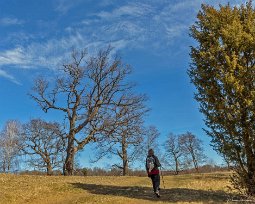 Herrökanäs naturreservat Herrgårdslandskapet med de flera hundra är gamla ekarna minner om den tid då Herröknanäs var ett säteri. Markerna sköts ännu med slåtter och bete som ger ett...