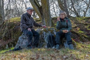 Fikarast Fika bland ekar i Herrökanäs naturreservat.