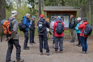 Järgarskogens naturrreservat Starplats för vandringen. Jägarskogen är ett vackert skogsområde vid norra stranden av sjön Yngern i Nykvarns kommun.