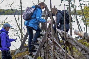 Järgarskogens naturrreservat Rask klättring på stätta över gärdsgård.
