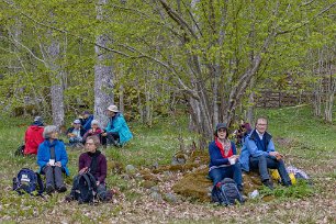 Järgarskogens naturrreservat Fika i eklund vid Yngern.