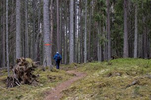 Järgarskogens naturrreservat I Jägarskogen är barrskogen över 130 år gammal.