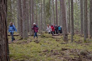 Järgarskogens naturrreservat I Jägarskogen är barrskogen över 130 år gammal.