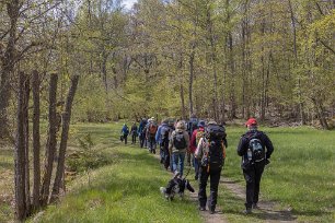 Järgarskogens naturrreservat In i ekhagen längs sjön Yngern.