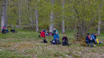 Järgarskogens naturrreservat Fika i ädellövskog med ek, lind, och lönn. De äldsta ekarna är dryt 200 år.