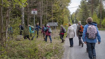 Järgarskogens naturrreservat