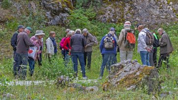Kalkbro naturreservat Purpurknipproten beundras av örtskådarna.