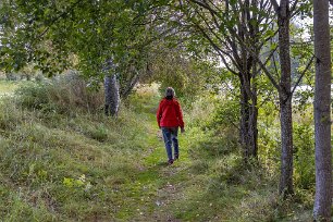 Promenad längs Lillälven Lättgången stig längs ön västra sida och Lill-älven, som är en lugnflytande bifåra till Ljusnan.
