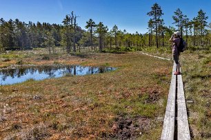 Fågelspaning Kristtina fokuserar på fåglar i en göl i Kuthöjdsmossen.