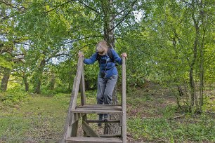 In i naturreservatet Man måste klättra på en stätta för att komma in in i det stängslade naturreservatet Norrby kyrkskog.