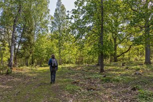 In i reservatet På väg in bland ädellövträden i Norrby kyrkskog. Området är naturskyddat sedan 2003 och är 41 hektar stort. Reservatet ligger vid Mälaren på sydöstra sidan av...
