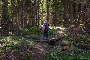 Nytorpsravinen Bäcken i ravinen slingrar sig genom vandringsstigen.