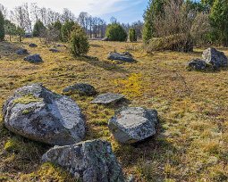 Säbyviken-Bädaren Hagmark med enar