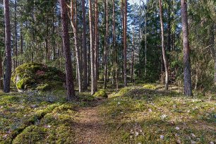 Torparudden Stigen in i naturreservatet