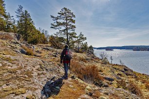 Torparudden Uppför ännu en lavklädd häll vid Grisselfjärden.