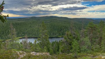 Skuleskogens nationalpark Nedanför branten blänker Svarttjärns mörka vattenspegel