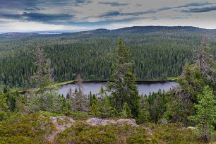 Skuleskogens nationalpark Utsiktsplatsen på Nylandsrutens sydöstra brant är lättillgänglig och bjuder på milsvid utsikt i klart väder. Nedanför branten blänker Svarttjärns mörka...