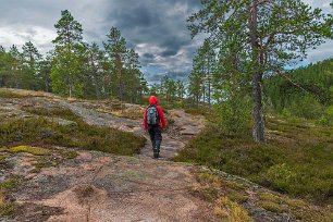 Skuleskogens nationalpark Leden till till Långtjärnshällorna går mot slutet på vackra stenhällar.