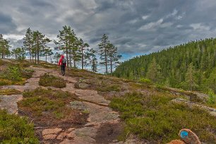 Skuleskogens nationalpark Leden till till Långtjärnshällorna går mot slutet på vackra stenhällar.