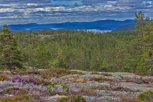 Skuleskogens nationalpark Långtjärnhällorna (kalottberg) bjuder vid bra väderlek på fantastiska vyer ut över Höga Kusten och stora delar av nationalparken.
