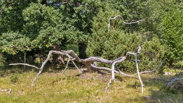 Naturlig installationm En 
