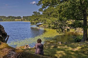 Rofylld plats Kristina söker svalka i skuggan vid stranden.