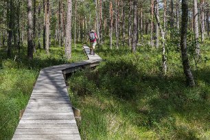 Tresticklans nationalpark Bara några hundra meter från målet.