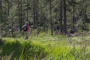 Tresticklans nationalpark Passage i sankmarken ovan Orstjärnet