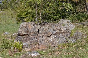 Tynäs ekhagar