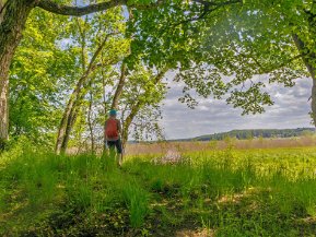Askholmens naturreservat juni 2021 Vandring 3 juni 2021 i Askholmens naturreservat vid Kvicksund, 40 km från Strängnäs.