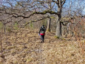 Aspö naturreservat mars 2021 En vårvintervandring 7 mars i Aspö naturreservat på en ö i sjön Båven.
