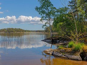 Bålbergsuddens naturreservat 26 maj 2020 Bålbergsudden är ett av våra äldsta naturreservat. Beläget vid Rockelstaviken av Båven.