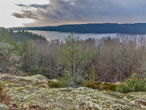 Björndalsbergens naturreservat december 2020 Vandring 19 december 2020 i Björndalsbergens naturreservat norr om Malmköping.