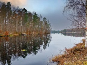 Vandring runt Bruksdammen i Hälleforsnäs november 2020 Vandring 12 november 2020 på Bruksslingan, den 4 kilometer långa slingan runt Bruksdammen i Hälleforsnäs – en mycket...
