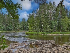 Färnebofjärdens nationalpark 3 augusti 2022 Vandring på en 4-kilometersslinga i Färnebofjärdens nationalpark 3 augusti 2022