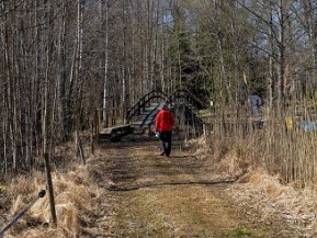 Fållökna naturreservat 30 maj 2022. Rundvandring på Lagnö i Fållökna naturreservat utanför Malmköping. Det 25 hektar stora reservatet omfattar ön Lagnö med...