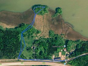 Sörfjärdens naturreservat maj 2019 Vandring till Fagersviks holme inom Sörfjärdens naturreservat vid Mälaren mellan Strängnäs och Eskilstuna.