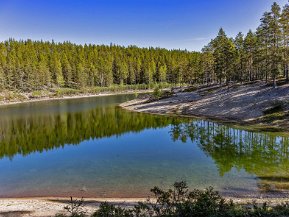 Gröntjärns naturreservat 30 augusti 2021 Området är en del av en märklig isälvsavlagring bildad i samband med inlandsisens avsmältning för ca 8 500 år sedan. På...