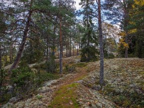 Vandring i Hedlandets naturreservat oktober 2020 Hedlandets naturreservat ligger drygt en mil sydväst om Eskilstuna. Reservatet är en mosaik av berg, barrskog, åker,...