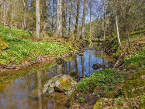 Henaredalens naturreservat nov 2020, maj 2021 Vandring 29 november och 2 maj på Sörmlandsleden genom Henaredalens naturreservat utanför Malmköping.