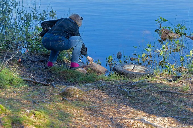 Fikarast Fikarast vid sjön Ala-Leipojärvi vid Europaväg 10. Skråpigt i vattnet.