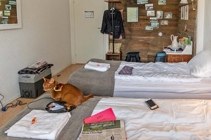 Hotellrummet i Skellefteå Juzzi fann sig snabbt tillrätta i rummet hos Gränden B&B i Skellefteå.