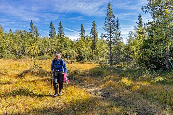 Mot Silverfallet Vandring över blöta kärrpartier mot Silverfallet i Ljungdalen.
