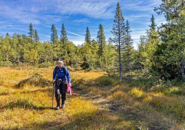 Lungdalen 1-9 september