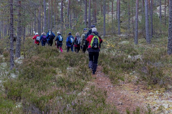 Marviksleden Söderut på Marviksleden från Malsjön