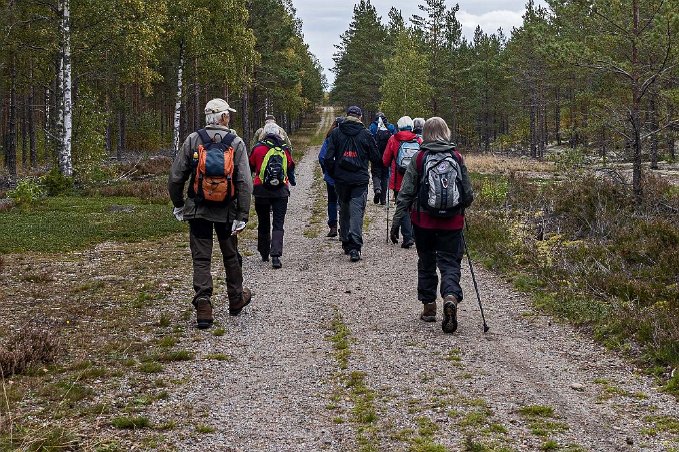 På flygrakan På ”Flygrakan”, en tidigare start-och landningsplats mitt i skogen för mindre besprutande flygplan.