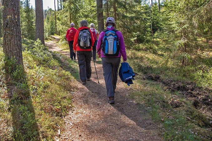 Ulvaspåret Skön vandringsstig i Ulvaspåret.