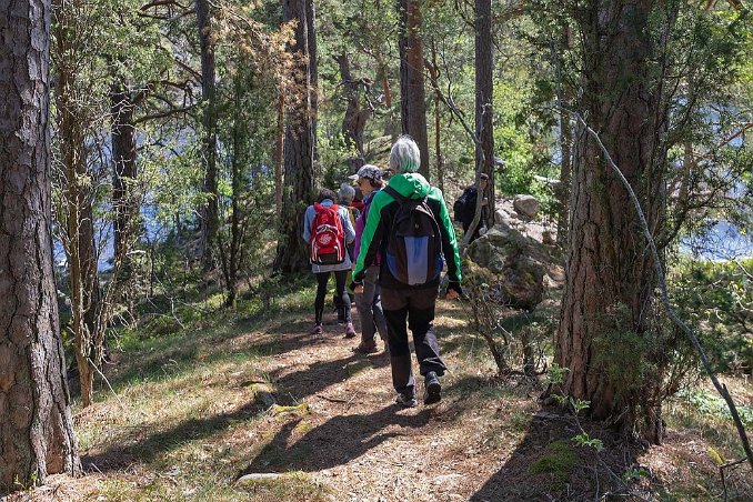Vandring i Ulvaspåret 220515-14 På rullstensåsen ned mot Marvikensjöarna.