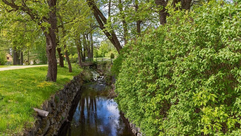 Engelska parken Den engelska parken har lummig grönska, mjuka och naturliga former och uppstod i England som motsats till den regelbundna franska stilen, med hårt tuktad...