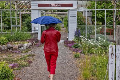 Alsta trädgårdar Alsta trädgårdar ägs och drivs av Margareta och Per Palmén sedan 50 år. I caféet kan man köpa och äta goda bakverk och lättare luncher. De största gamla...